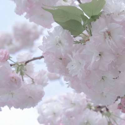 Furry插画细节提升干货福瑞交流群