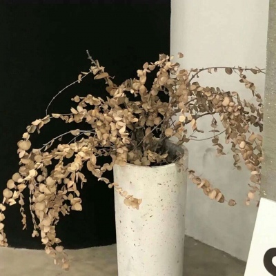 林州福瑞交流群